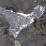 ice shard 2 web